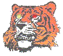 ColorTiger